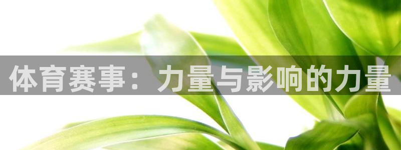 体育赛事：力量与影响的力量