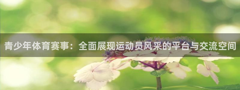 青少年体育赛事：全面展现运动员风采的平台与交流空间