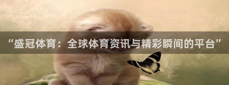 “盛冠体育：全球体育资讯与精彩瞬间的平台”