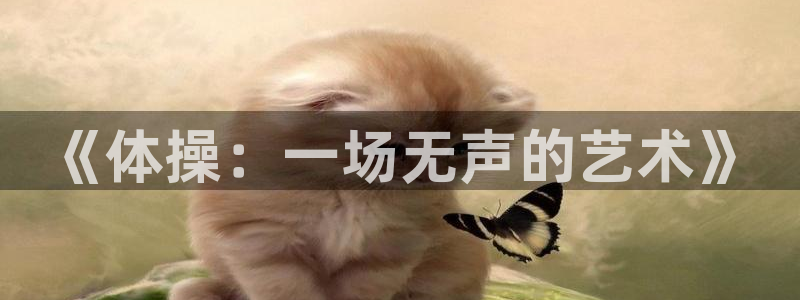 《体操：一场无声的艺术》