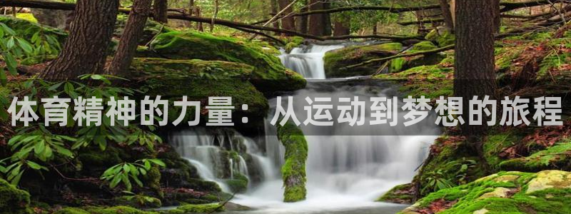 体育精神的力量：从运动到梦想的旅程