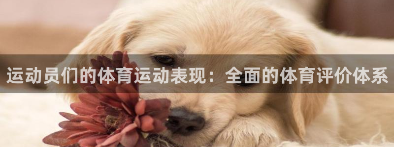 运动员们的体育运动表现：全面的体育评价体系
