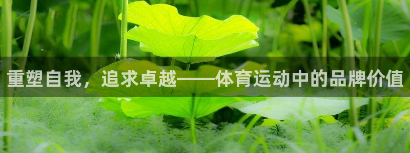 重塑自我，追求卓越——体育运动中的品牌价值