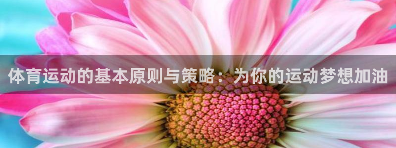 体育运动的基本原则与策略：为你的运动梦想加油