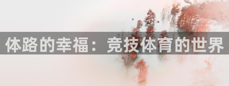 体路的幸福：竞技体育的世界