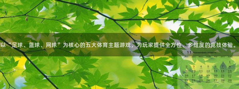 以“足球、篮球、网球”为核心的五大体育主题游戏，为玩家提供全方位、多维度的竞技体验。