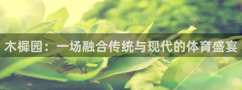 木樨园：一场融合传统与现代的体育盛宴