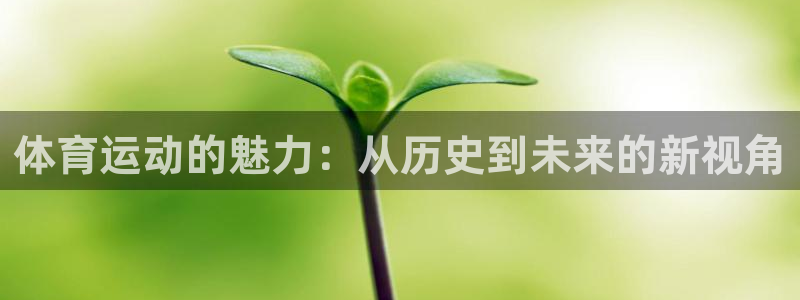 体育运动的魅力：从历史到未来的新视角