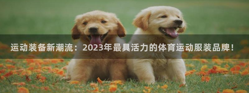 运动装备新潮流：2023年最具活力的体育运动服装品牌！