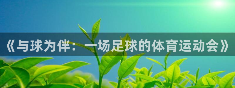 《与球为伴：一场足球的体育运动会》