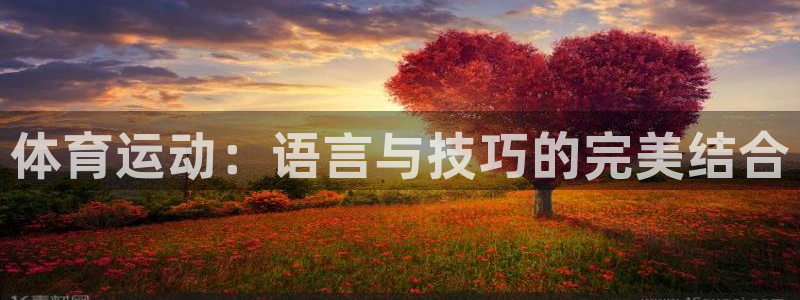 体育运动：语言与技巧的完美结合