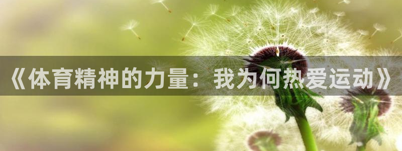 《体育精神的力量：我为何热爱运动》